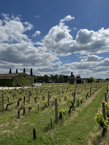 Château Smith Haut Lafitte